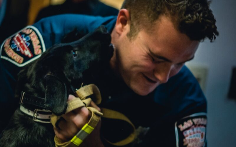 Blaze the Therapy Dog